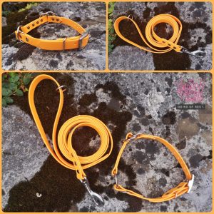 biothane kakovostna oprema za pse evascanine 1