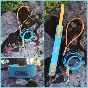 biothane kakovostna oprema za pse evascanine 11