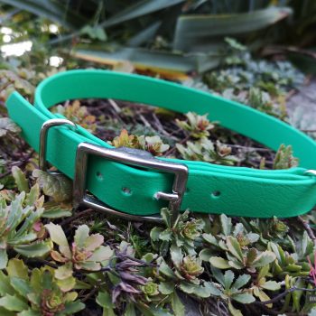 biothane kakovostna oprema za pse evascanine 21